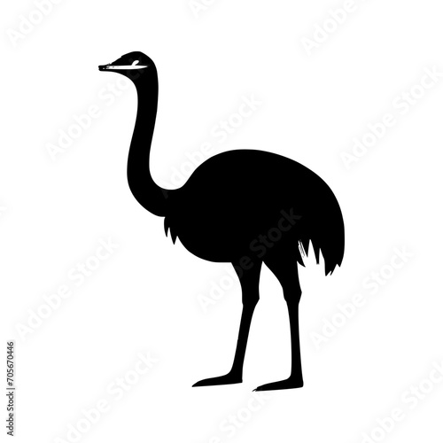 ostrich illustration