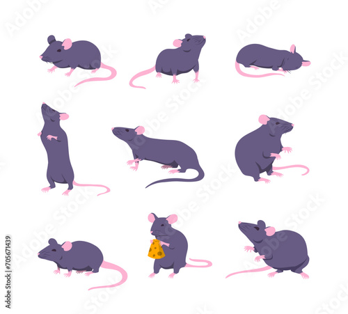 Cartoon Color Characters Mouse and Rat Different Poses Set Concept Flat Design Style. Vector illustration of Mice Animal