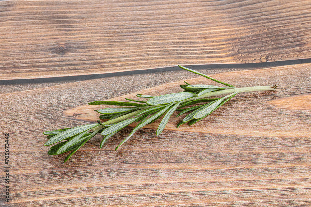 Rosemary branch - organic spicy herb Rosemary branch - organic spicy herb