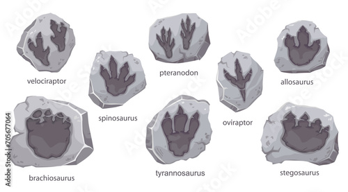 Dinosaur footprints fossil, archeology stones with dino foot silhouette, cartoon vector. Jurassic dinosaurs paw print trace of velociraptor, tyrannosaurus T-rex and stegosaurus or brachiosaurus
