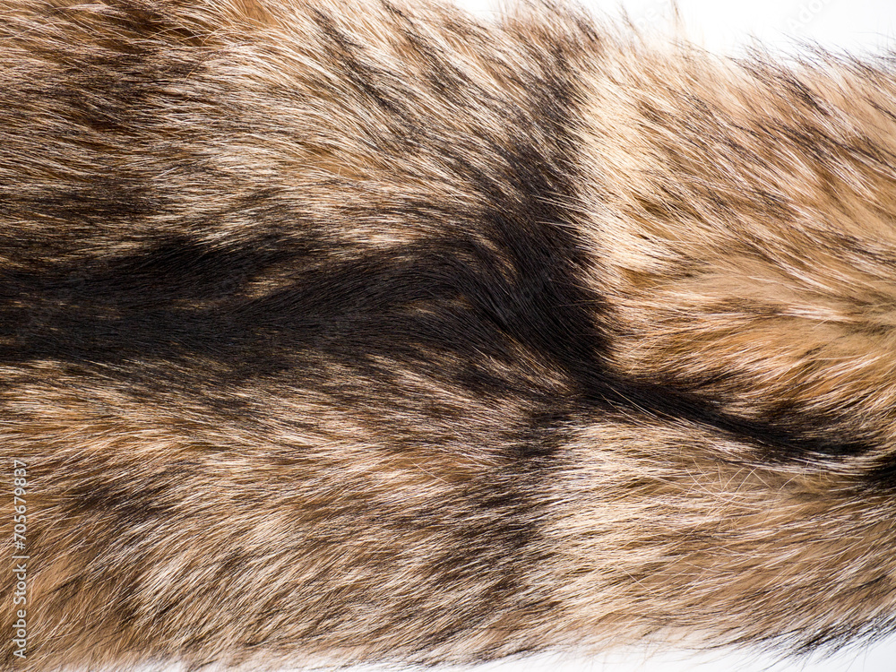 Fototapeta premium The Fur texture.