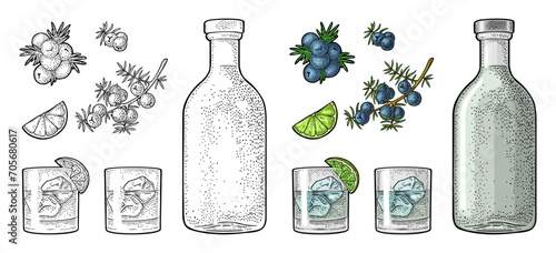 Glass, bottle gin, slice lime and branch of juniper with berries. Vintage vector color engraving illustration for label, poster, web. Isolated on white background