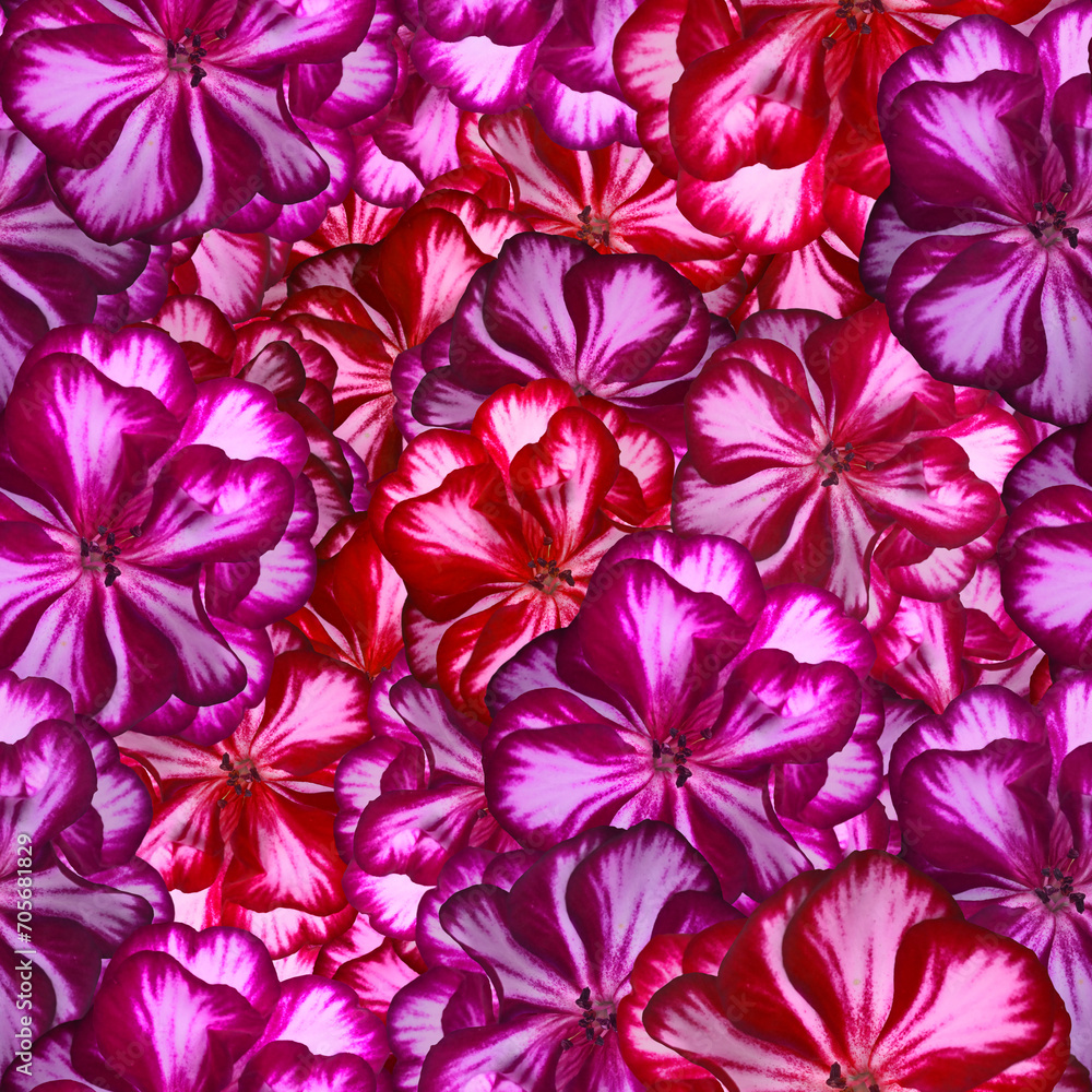 Fototapeta premium Seamless violet bouquet high resolution banner