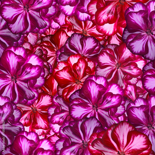 Seamless violet bouquet high resolution banner