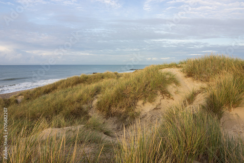 Sand dune with beach grass.