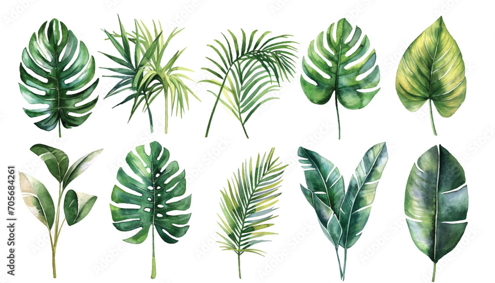 set of tropical green leaves - obrazy, fototapety, plakaty 
