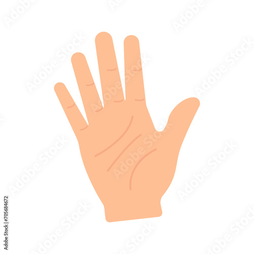 Hand. Palm on a white background. Vector graphics