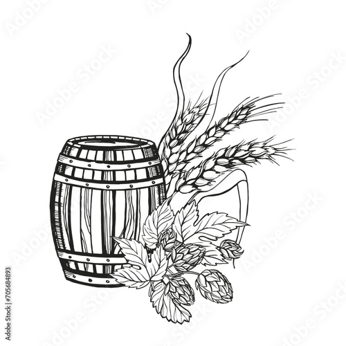 Hand drawn vector sketch of wooden barrel for wine, beer, whiskey, hop plant and ears of wheat, black and white illustration of wood oak keg and wheat plant, inked illustration isolated on white