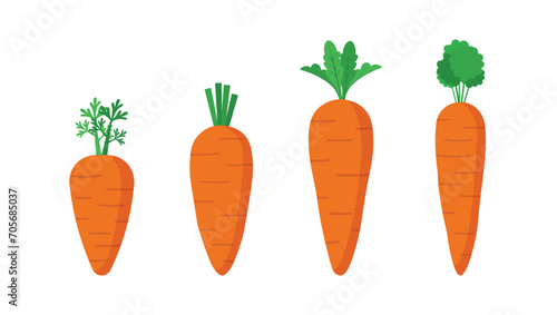Carrot flat icon set. Vector illustration carrot on white background. Fresh Vegetable, Vegetarian, vegan Healthy organic food.