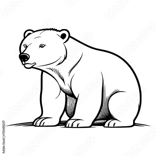 Fototapeta Naklejka Na Ścianę i Meble -  polar bear vector illustration