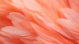 Feathers closeup of trend color of the year 2024 peach fuzz, background close up texture.