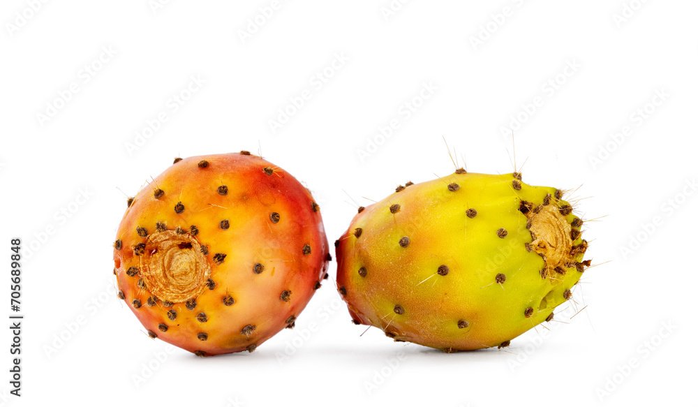 Two cactus figs aka Opuntia Ficus Indica fruit, laying on flat surface. Isolated on a whiet background. Two cactus figs aka Opuntia Ficus Indica fruit, laying on flat surface. Isolated on a whiet background.