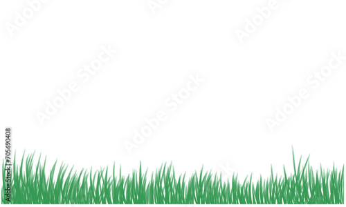 Vector green grass isolated on background