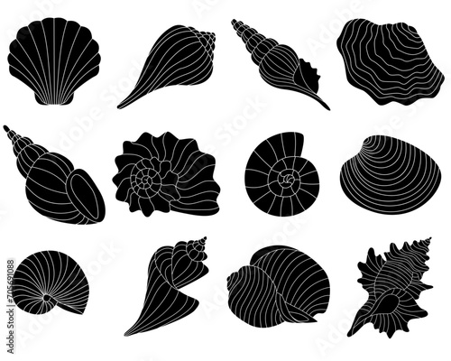 Shellfish set. Sea vector illustration