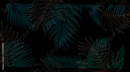  Black background with palm leaves