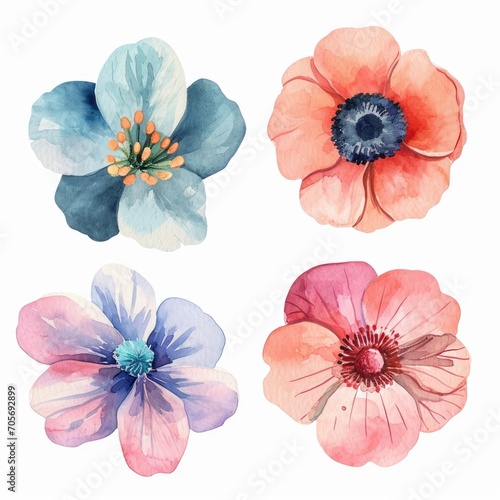 Set watercolor flowers isolated white background