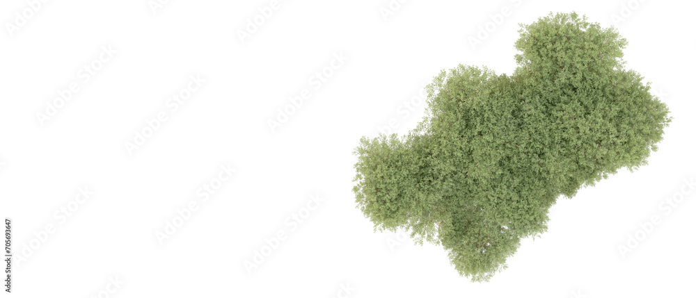 Green forest isolated on background. 3d rendering - illustration Green forest isolated on background. 3d rendering - illustration