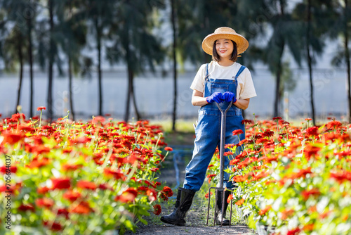 Fotografi Asian woman gardener is working in the farm holding garden fork among red zinnia