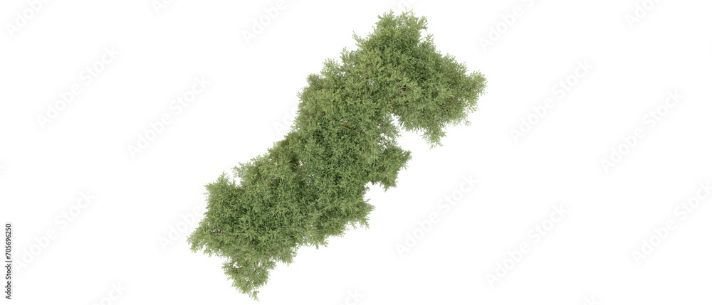 Green forest isolated on background. 3d rendering - illustration Green forest isolated on background. 3d rendering - illustration