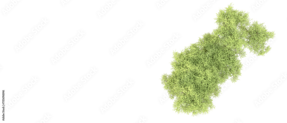 Green forest isolated on background. 3d rendering - illustration Green forest isolated on background. 3d rendering - illustration