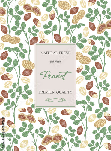 Peanut background. Hand drawn Peanut plant with nuts and leaves. Vector illustration.
