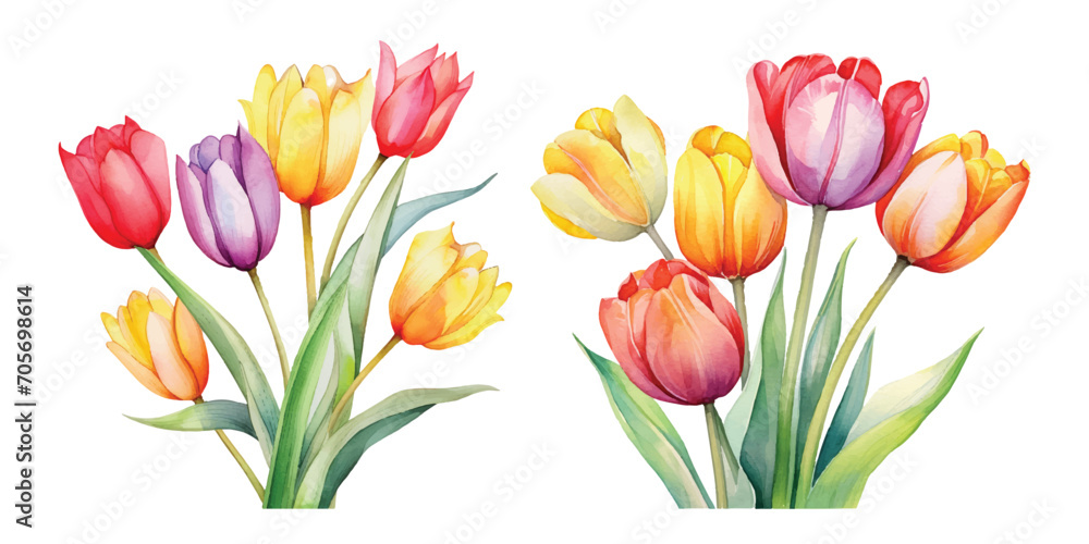 Cute Watercolor tulips pack Cute Watercolor tulips pack