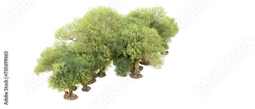 Green forest isolated on background. 3d rendering - illustration