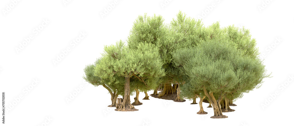 Fototapeta premium Green forest isolated on background. 3d rendering - illustration