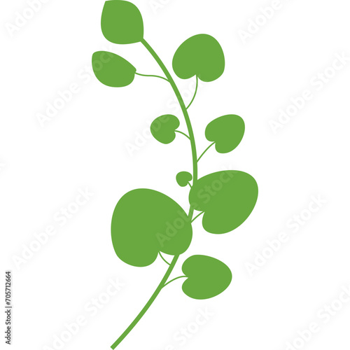 Leaf Shape Minimalist © Graphic
