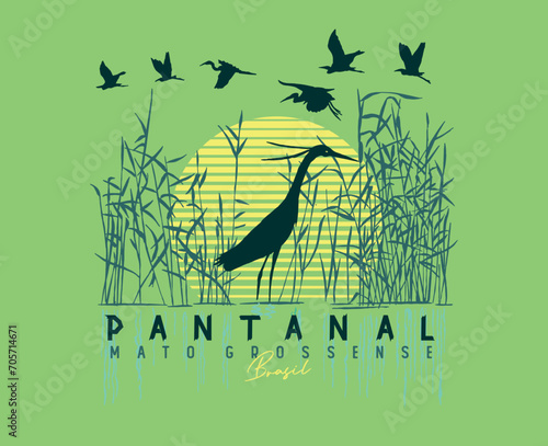 Handmade vector illustration of bird silhouette in graphic representation of the Pantanal Matogrossense in Brazil.