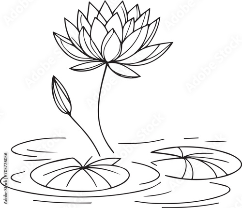Waterlily line drawings, hand painted waterlily wall art, Campanule Clochette botanical wall art, simple bluebell drawing, waterlily stock outline drawing, lotus line art, hand drawn waterlily art