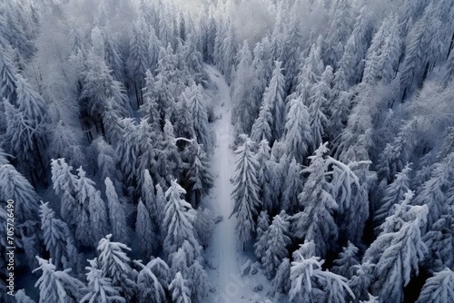 Snowy winter forest seen from above. Generative AI