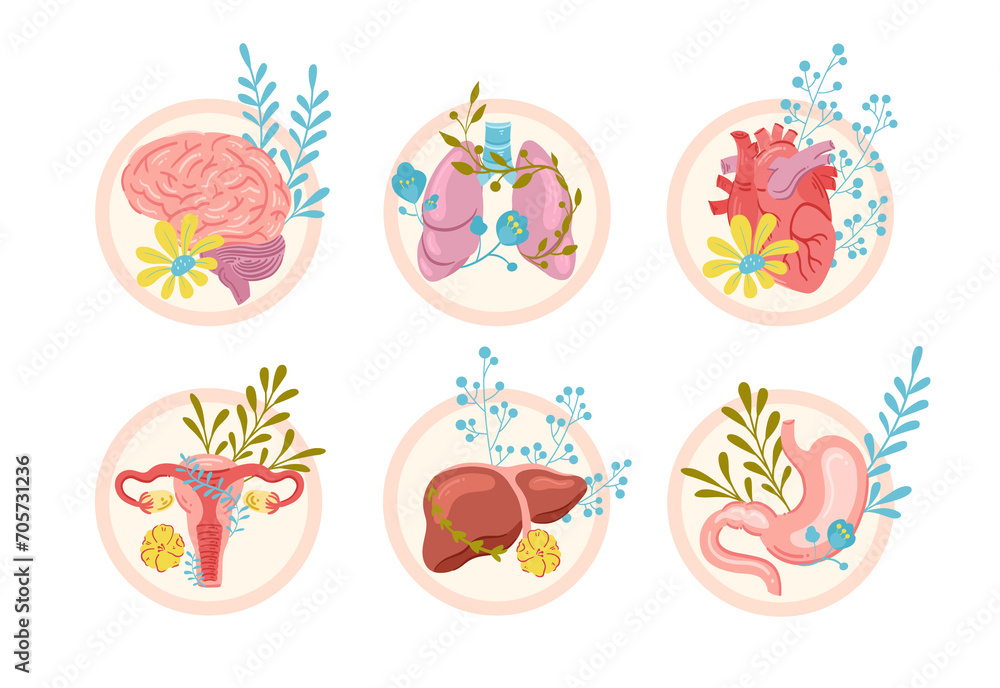 Hand drawn flat organ composition background with human organs and leaves