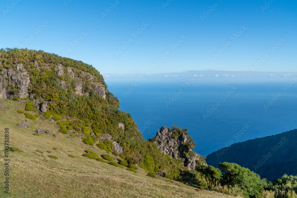 Fanal Forest Panoramic Views at Madeira