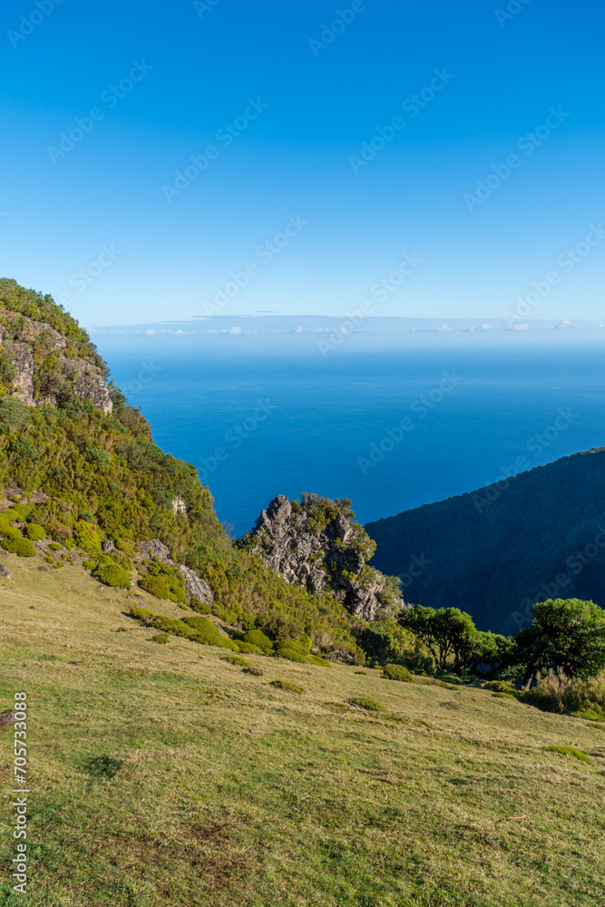 Fanal Forest Panoramic Views at Madeira
