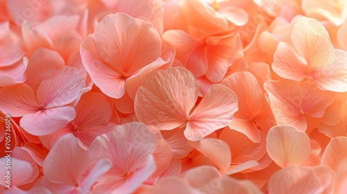 Petals background in peach fuzz color © Irina Kozel