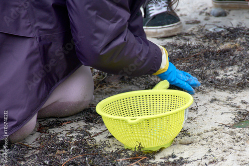 The volunteers to collect the pellets on the beaches of Galicia use strainers, buckets, gloves photo