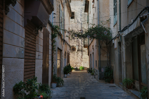 Fototapeta Naklejka Na Ścianę i Meble -  beautiful street of pollenca in mallorca