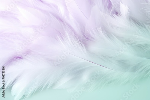  a close up of a white feather on a blue and green background with a blurry image of the back side of the feathers and the top part of the feathers.