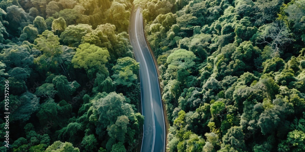 aerial view of windy drive on the forest green road