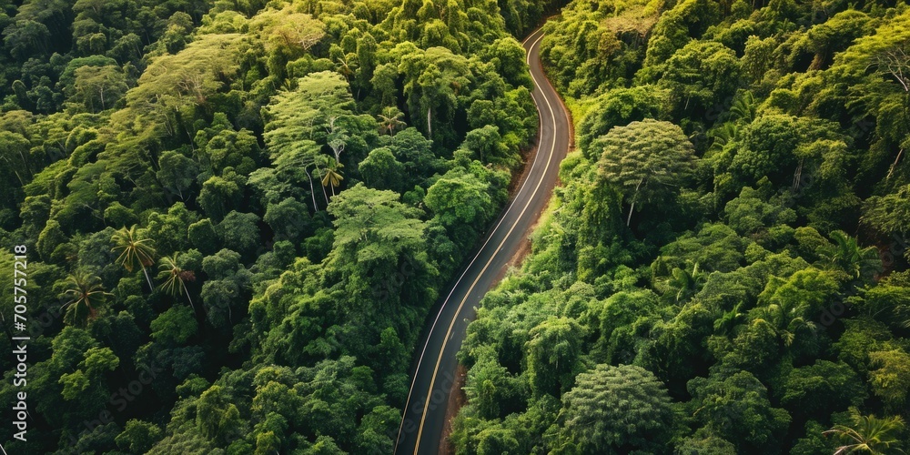 aerial view of windy drive on the forest green road aerial view of windy drive on the forest green road