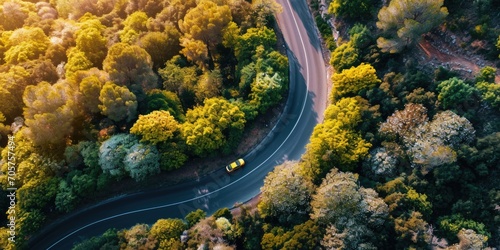 aerial view of a curved road in a tropical forest
