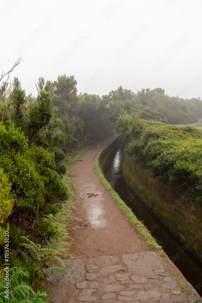 Levada trail on Madeira on a rainy day