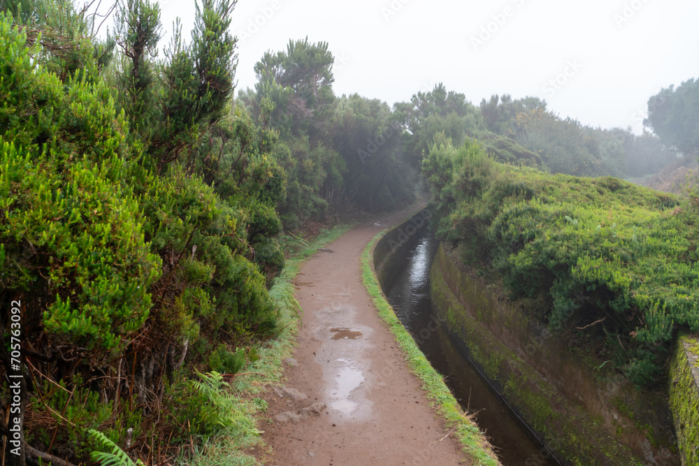 Levada trail on Madeira on a rainy day Levada trail on Madeira on a rainy day