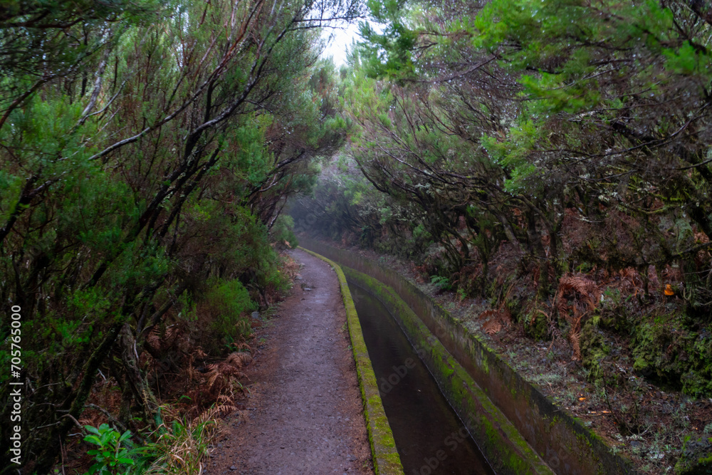 Levada on Madeira during a foggy day Levada on Madeira during a foggy day