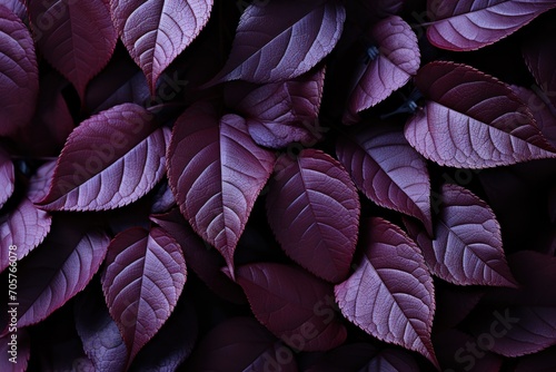  a bunch of purple leaves that are on top of a bed of other purple leaves that are on top of a bed of purple leaves that are on top of each other purple leaves.