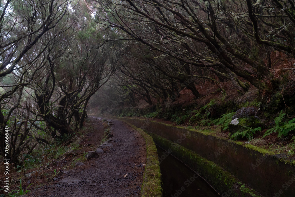 Levada on Madeira during a foggy day Levada on Madeira during a foggy day