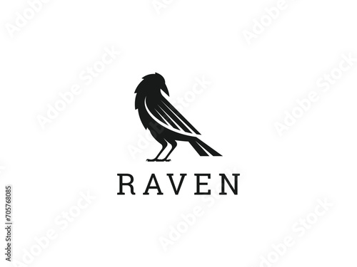 raven logo vector icon illustration, crow logo template photo