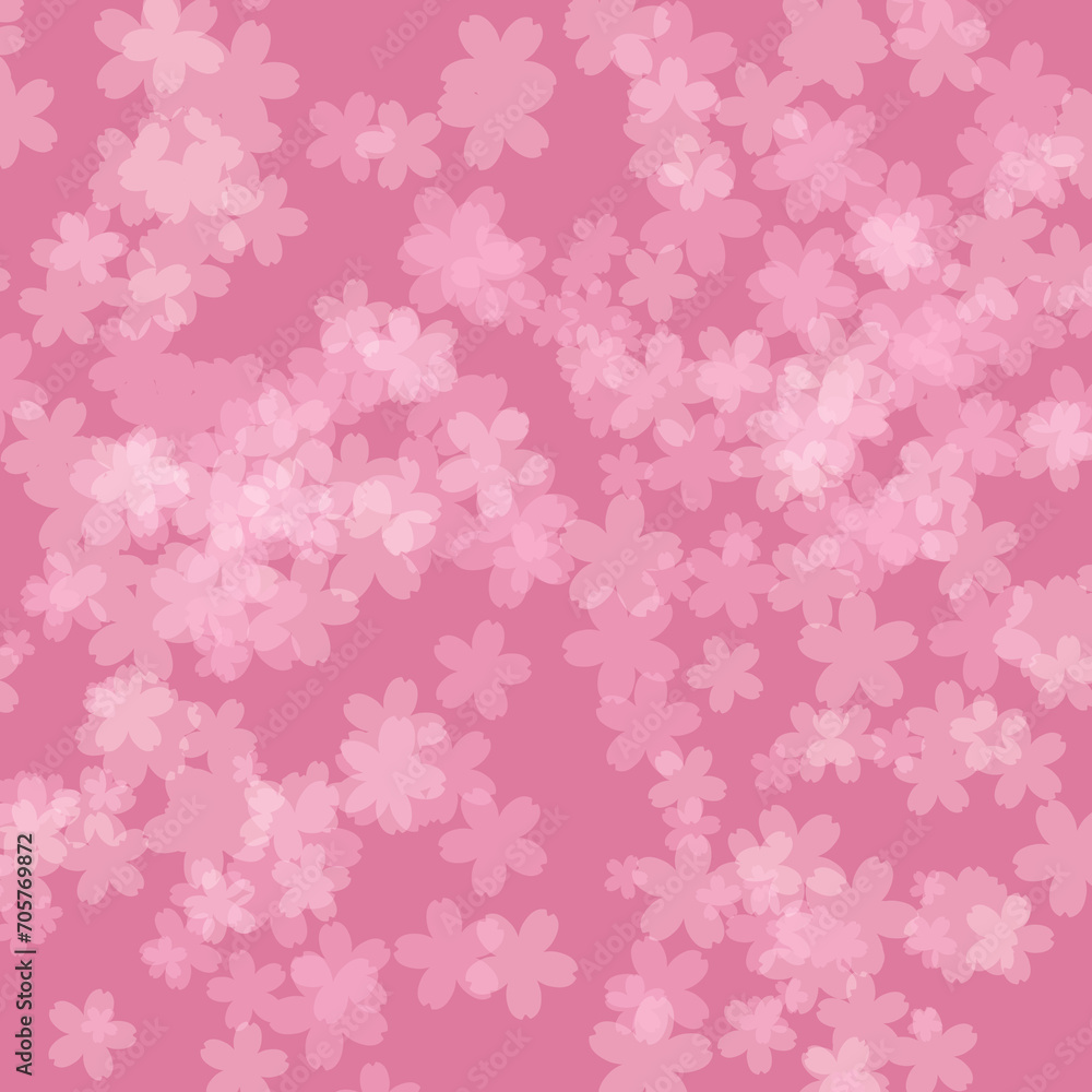 sakura_flower_cherry_blossom_light_background_pink