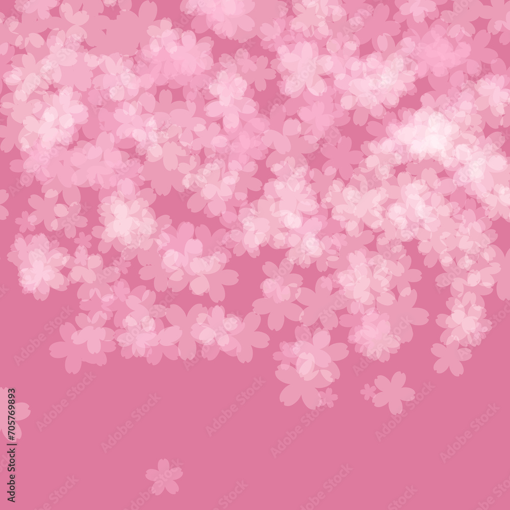 sakura_flower_cherry_blossom_light_background_pink